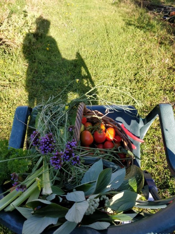 Garden Goodies