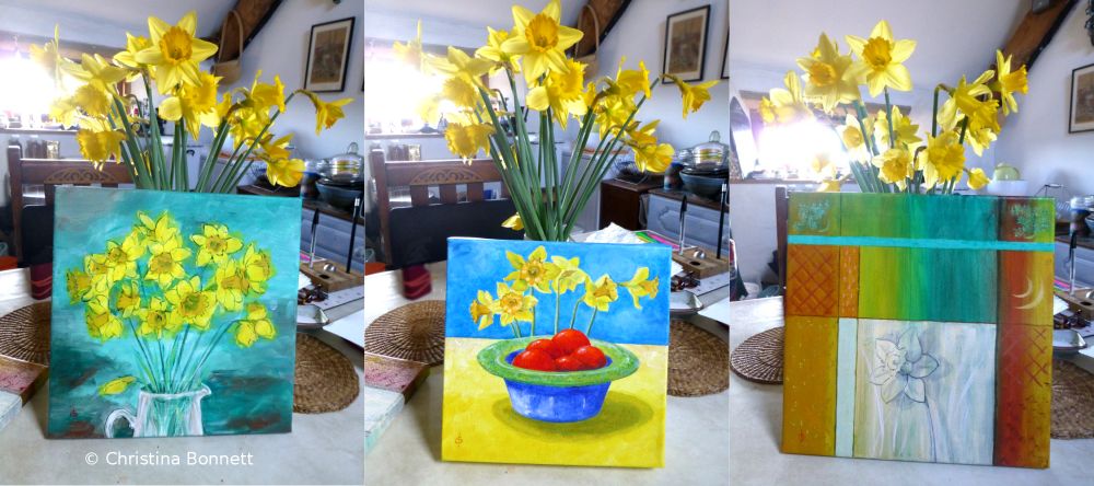 Three daffodil paintings by Christina Bonnett