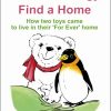 Polo and Pengy find a Home